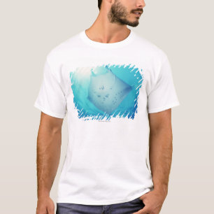 Strahl T-Shirt