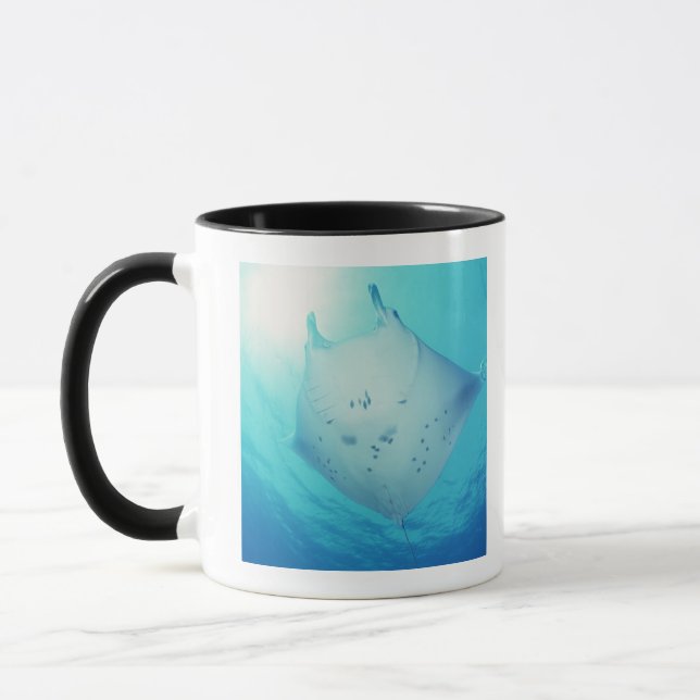 Strahl Tasse (Links)