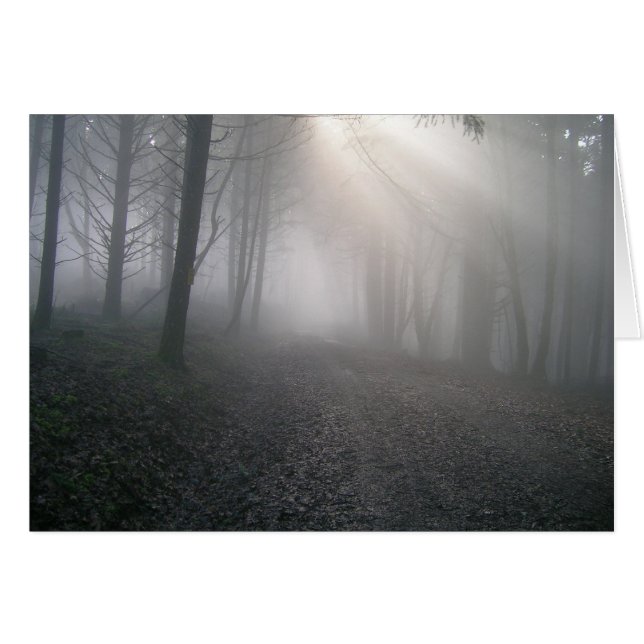 Strahlen durch Nebel (Vorderseite (Horizontal))