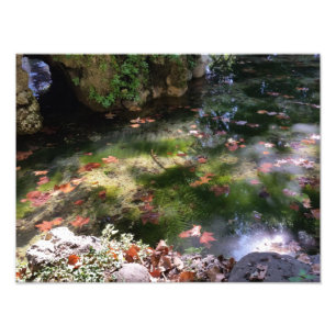 Strahlen und Blätter auf Wasser Fotodruck