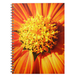 Strahlende Orange Blume Makro Notizbuch Natur Foto Notizblock