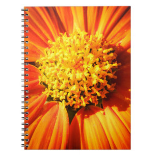 Strahlende Orange Blume Makro Notizbuch Natur Foto Notizblock