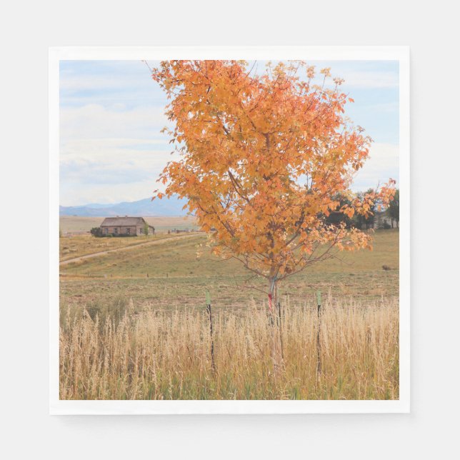 Strahlender Oktober  Serviette (Vorderseite)