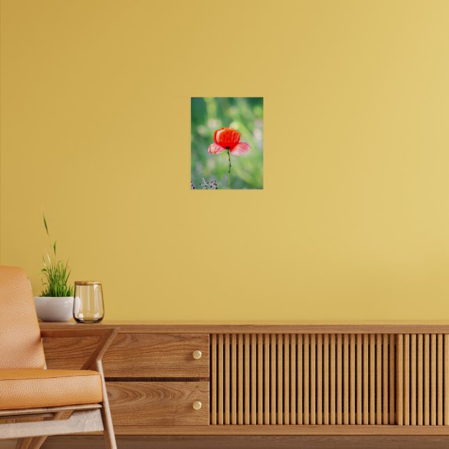 Strahlenroter Klatschmohn Poster (Wohnzimmer 2)