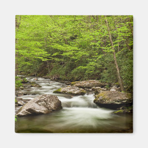 Straight Gabel fließt durch den Wald Magnet