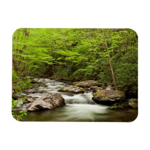 Straight Gabel fließt durch den Wald Magnet