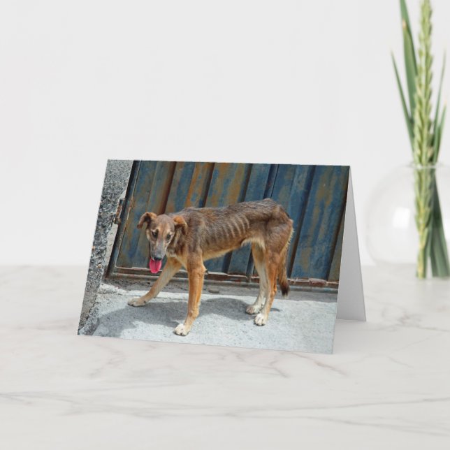 Straight Hund Karte (Vorderseite)