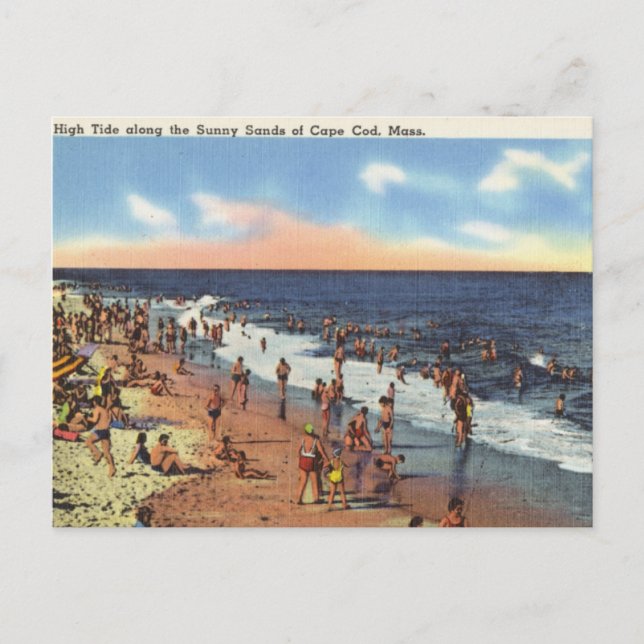 Strand am Cape Cod Postkarte (Vorderseite)