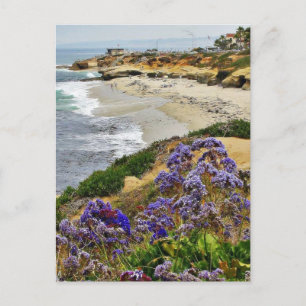 Strand an der La Jolla Cove Postkarte