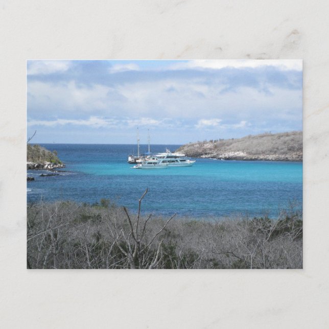 Strand auf den Galapagos-Inseln Postkarte (Vorderseite)