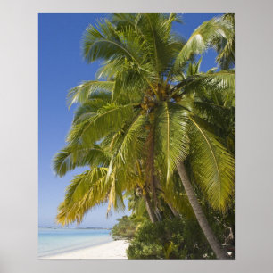 Strand auf der Insel One Foot, Aitutaki, Cookinsel Poster