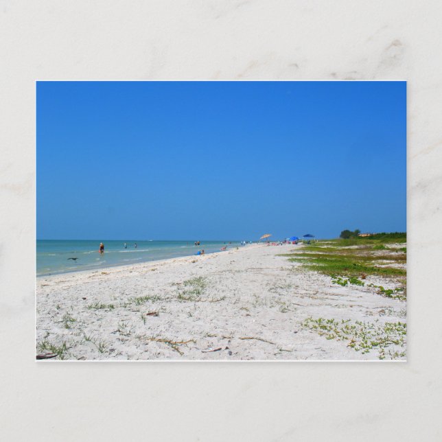 Strand auf der Insel Sanibel Postkarte (Vorderseite)