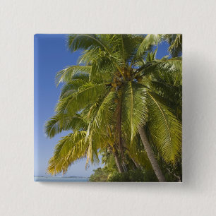 Strand auf One-Foot-Eiland, Aitutaki, Cookinseln Button