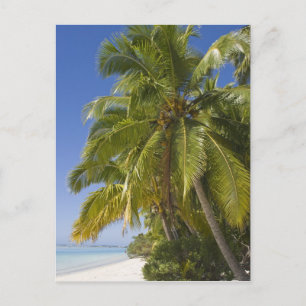 Strand auf One-Foot-Eiland, Aitutaki, Cookinseln Postkarte