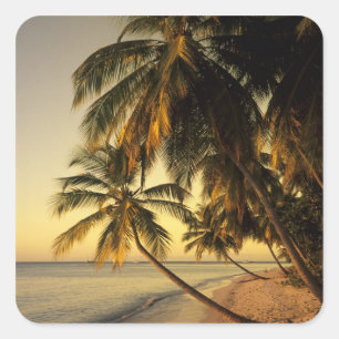 Strand bei Sonnenuntergang, Trinidad Quadratischer Aufkleber