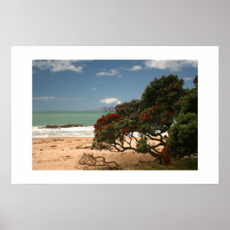 Strand Bliss - Pohutukawa-Baum Poster