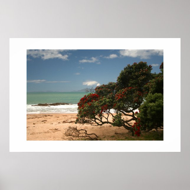 Strand Bliss - Pohutukawa-Baum Poster (Vorne)