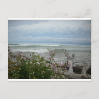 Strand-Blumen Postkarte