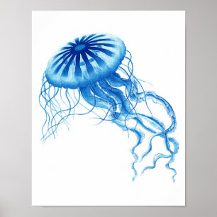 Strand-Dekor des blaue Quallen-Vintager Poster