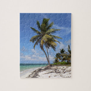 Strand der Dominikanischen Republik