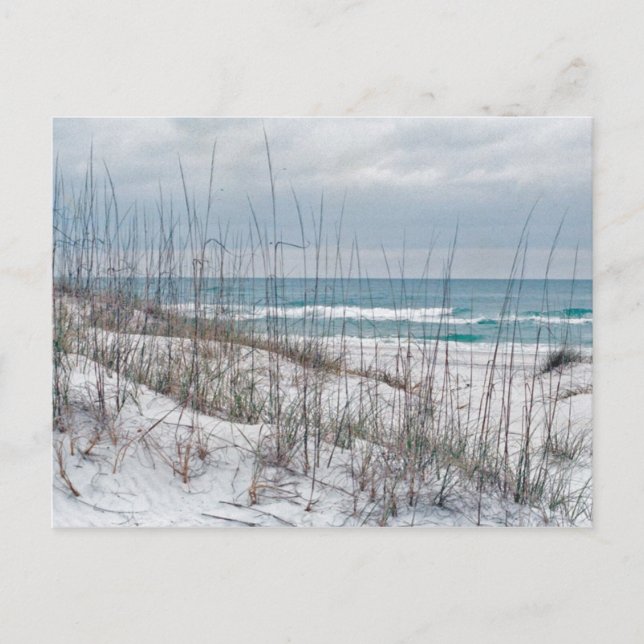 Strand Florida Panhandle Postkarte (Vorderseite)