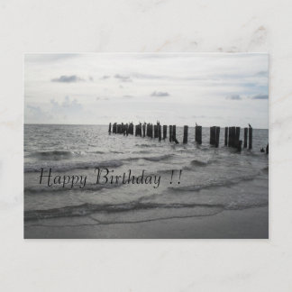 Strand in Florida Pelikane Geburtstagskarte Postkarte