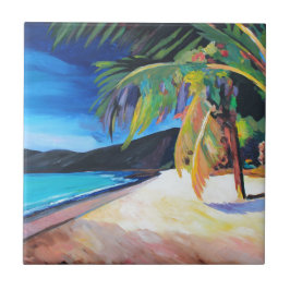 Strand in Magens den Jungferninseln Bucht-St Fliese