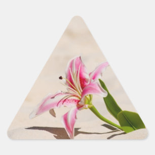 Strand-Lilien-Aufkleber Dreieckiger Aufkleber
