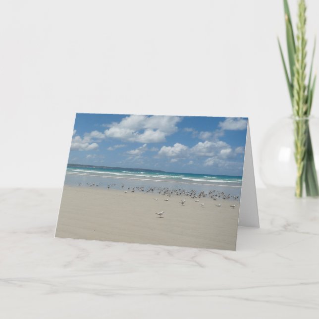 Strand mit Möwen Karte (Vorderseite)