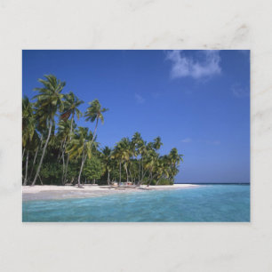 Strand mit Palmen, Malediven Postkarte