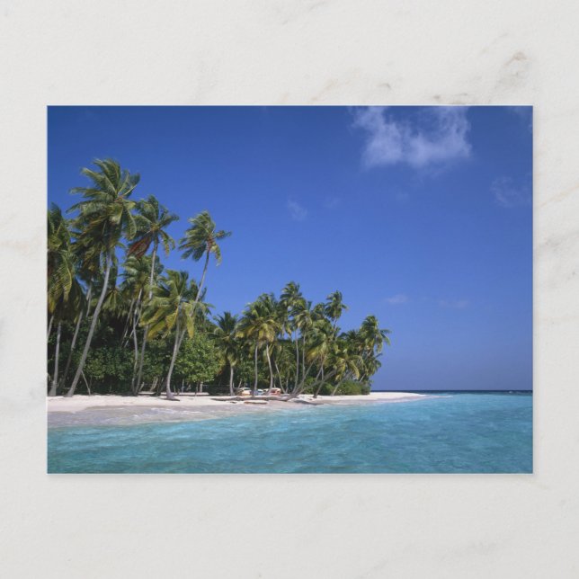 Strand mit Palmen, Malediven Postkarte (Vorderseite)