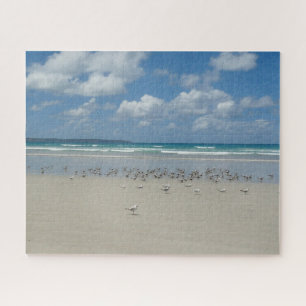 Strand mit Seaguls