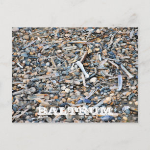 Strand, Muscheln, Driftwood, Baltrum Island Postkarte
