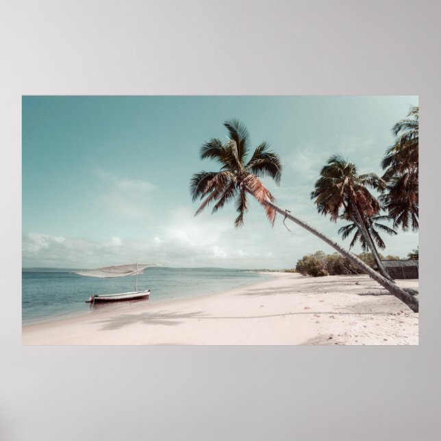 Strand neben Kokospalmen Poster (Vorne)