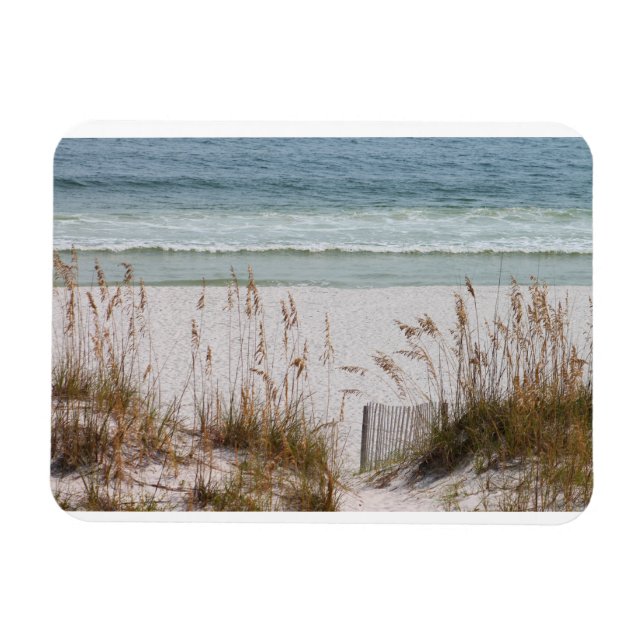 Strand, Ozean, Gras Magnet (Horizontal)