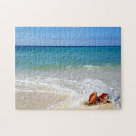 Strand Ozean Wave über Conch Seashells