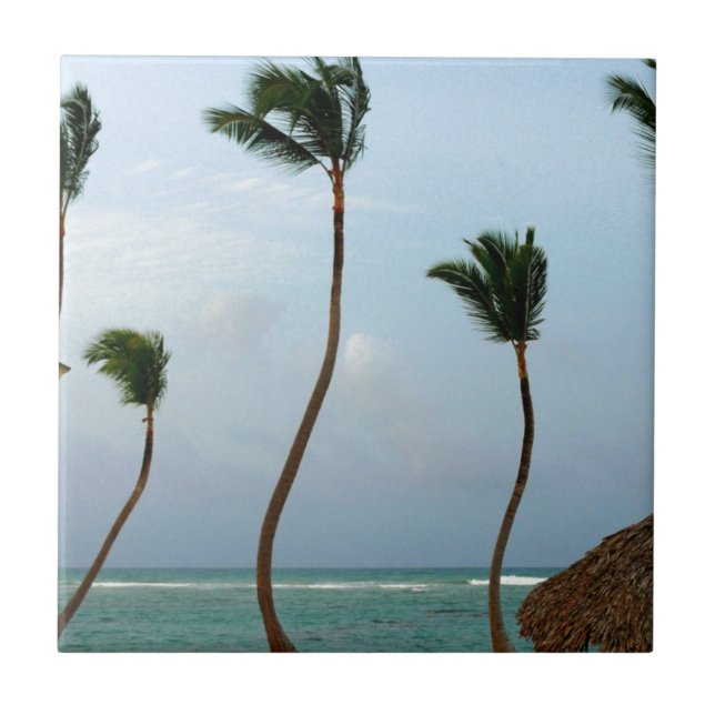 Strand-Palme Fliese (Vorderseite)