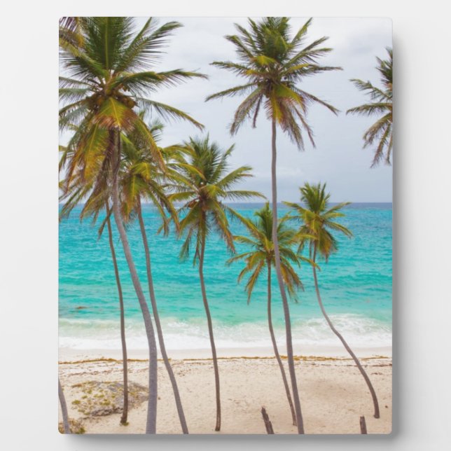 Strand-Palmen Fotoplatte (Vorderseite)