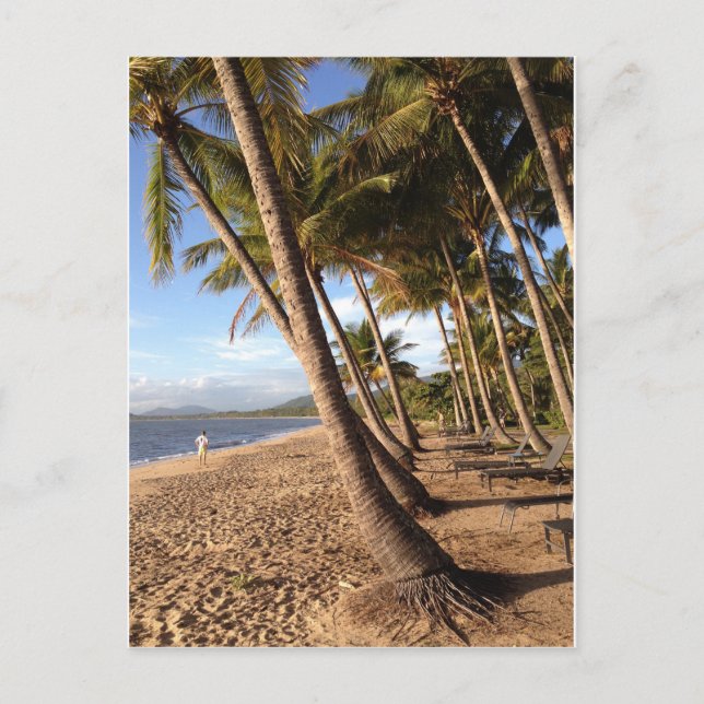Strand, Palmen im Palmenhain Postkarte (Vorderseite)