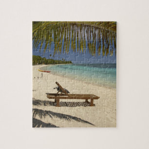Strand, Palmen & Liegestuhl