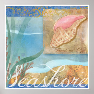Strand-Plakat IV, "Küste mit Tulpe-Muschel " Poster
