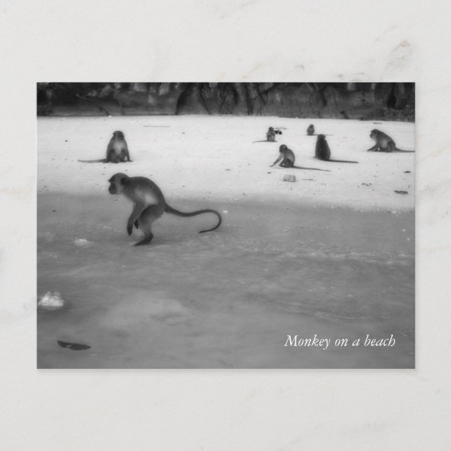 Strand Postkarte (Vorderseite)