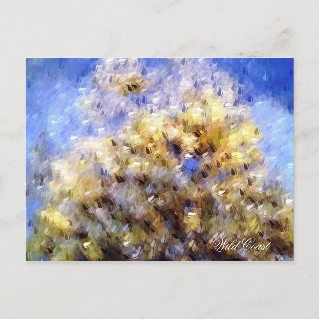 STRAND POSTKARTE (Vorderseite)