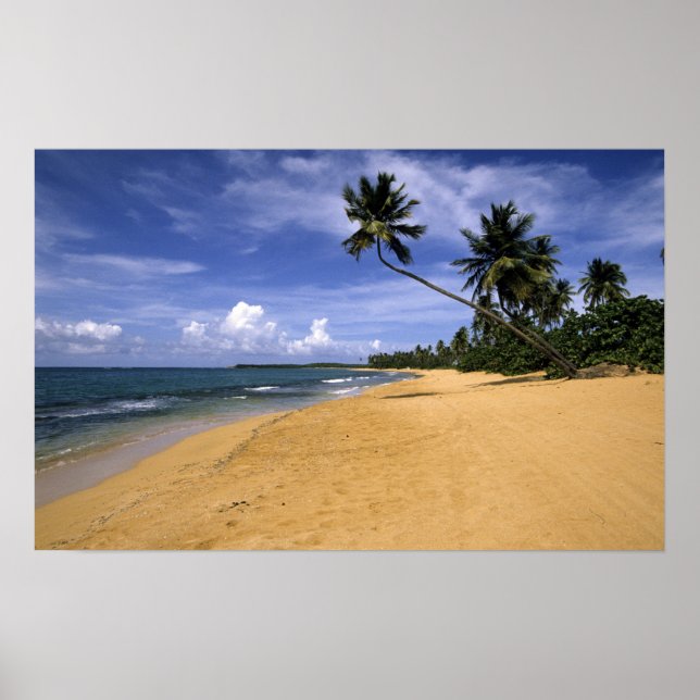 Strand Puerto Rico 2 Poster (Vorne)