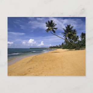 Strand Puerto Rico 2 Postkarte