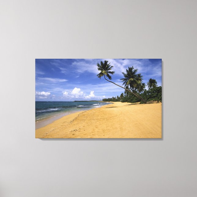 Strand Puerto Rico Leinwanddruck (Vorderseite)
