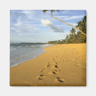 Strand Puerto Rico Magnet
