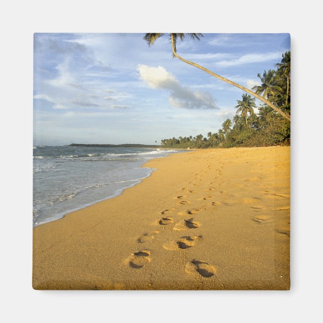 Strand Puerto Rico Magnet (Vorne)
