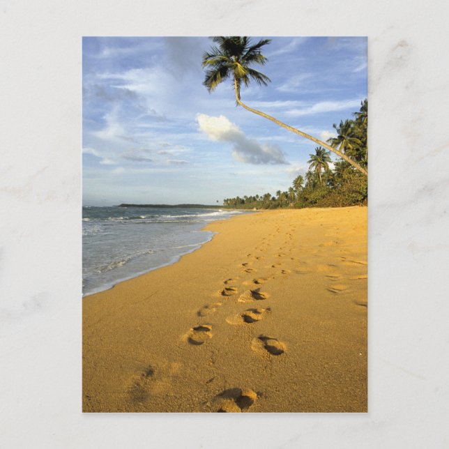 Strand Puerto Rico Postkarte (Vorderseite)