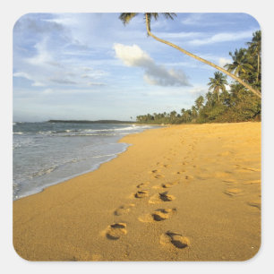 Strand Puerto Rico Quadratischer Aufkleber